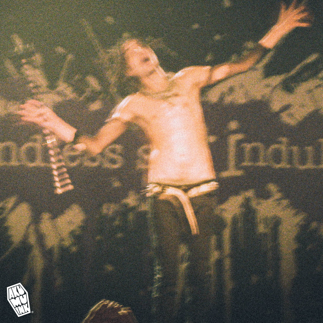 Photos from the Mindless Self Indulgence Concert