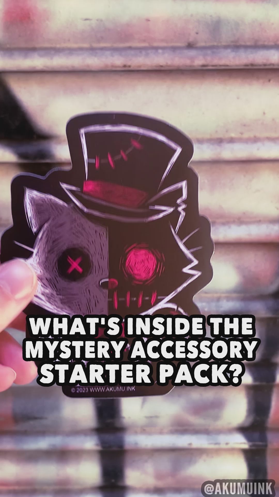 Mystery Accessory Pack