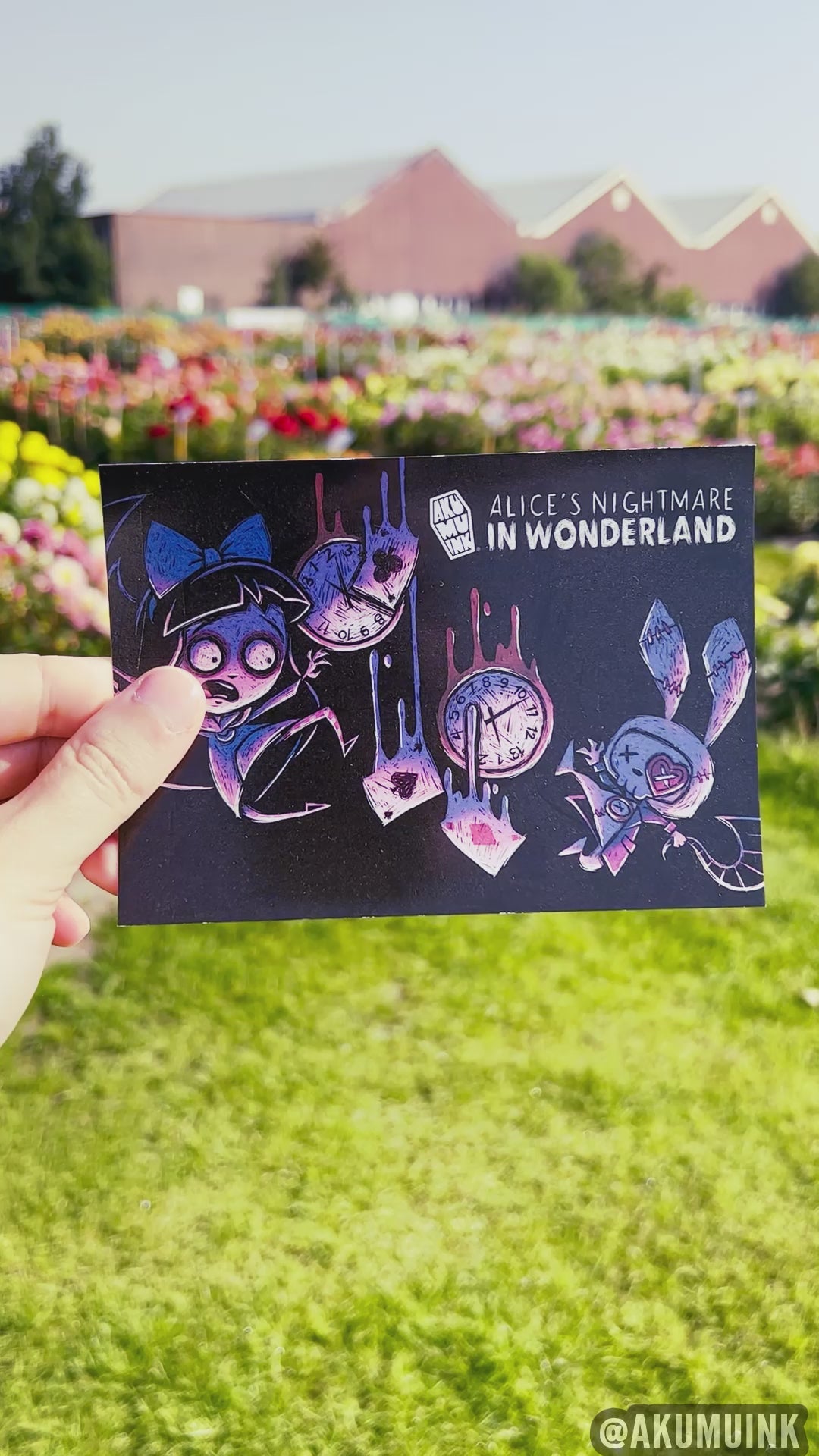 Alice-Postkarten-Set